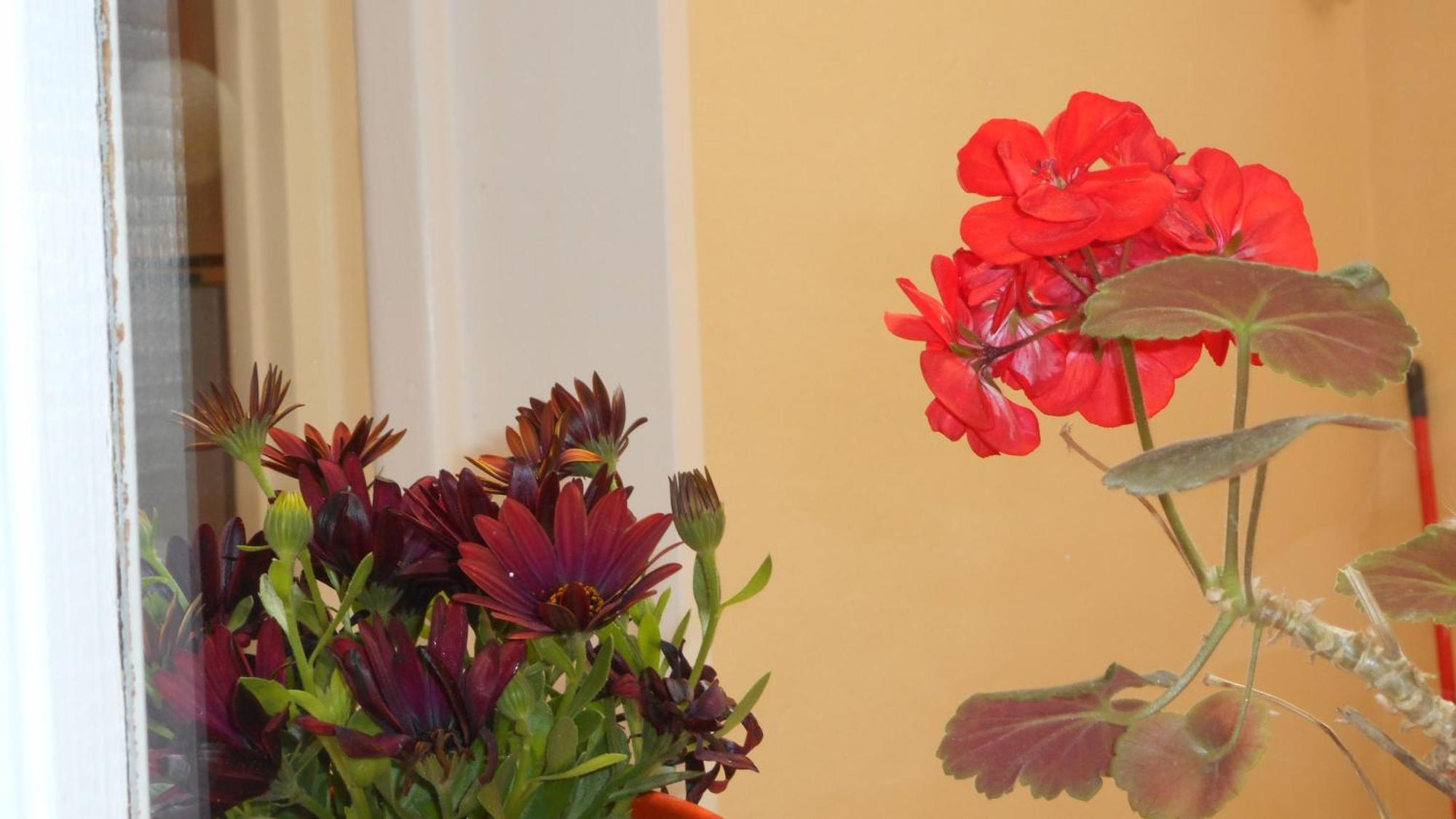 Elegant And Comfortable Apartment In The City Center Ermupoli Exteriér fotografie